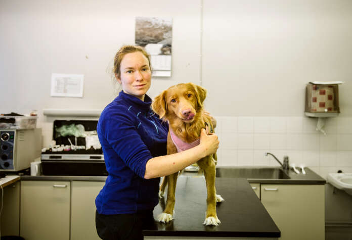 Paimion, Liedon, Sauvon ja Kaarinan yhteinen kaupungineläinlääkäri Venla von Bagh vastaanotollaan Paimiossa viime vuoden helmikuussa.